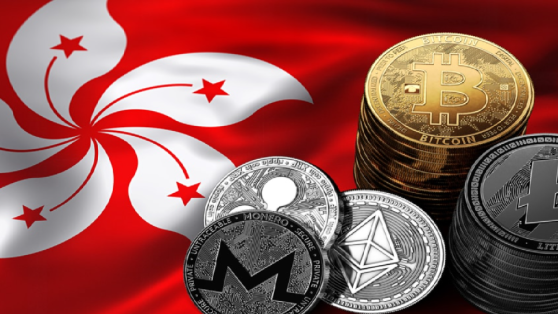 pic1bcf2f55cf59d89ded00215cd3bb3fbf