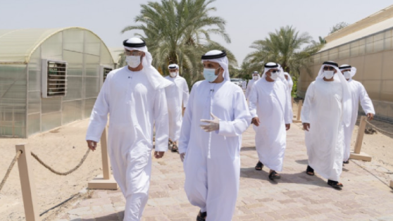 pic90e8d5350570d389020f67f160917911